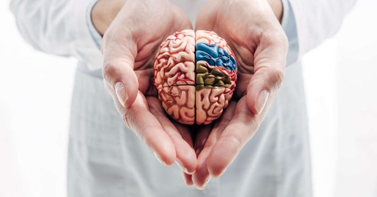 بهترین متخصص مغز و اعصاب درایران متخصص مغز و اعصاب در ایران