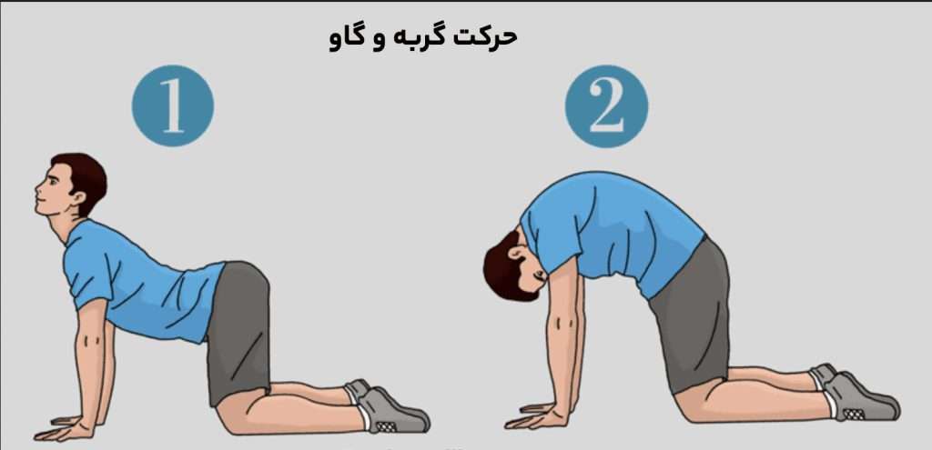 ورزش جا انداختن دنبالچه ، درد دنبالچه ، دررفتگی دنبالچه