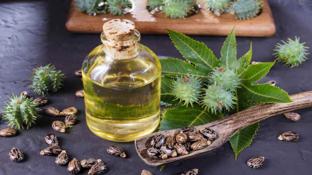 روغن اکالیپتوس برای کاهش درد مفاصل روغن اکالیپتوس برای کاهش درد مفاصل