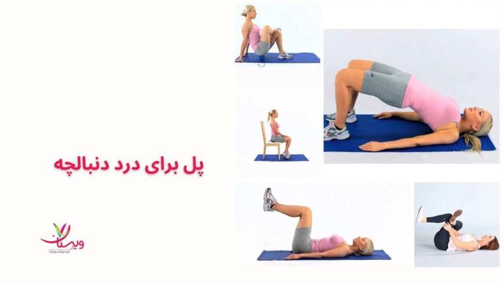 تقویت عضلات کف لگن خانم در حال پل زدن