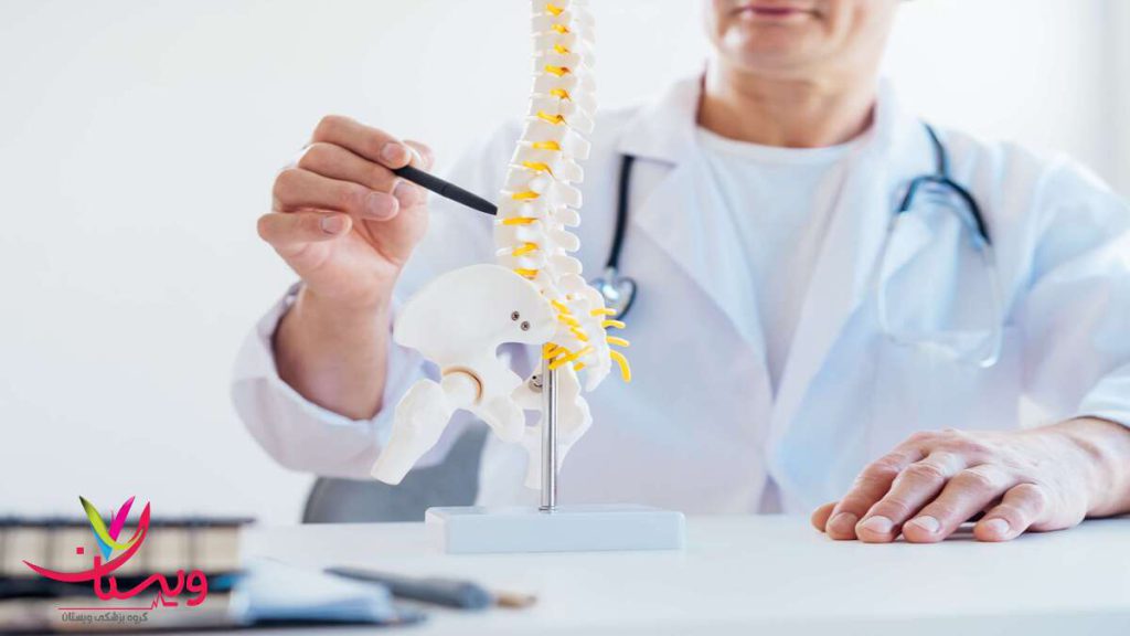 پزشک متخصص در حال نمایش ستون فقرات پزشک در حال نمایش مدل ستون فقرات