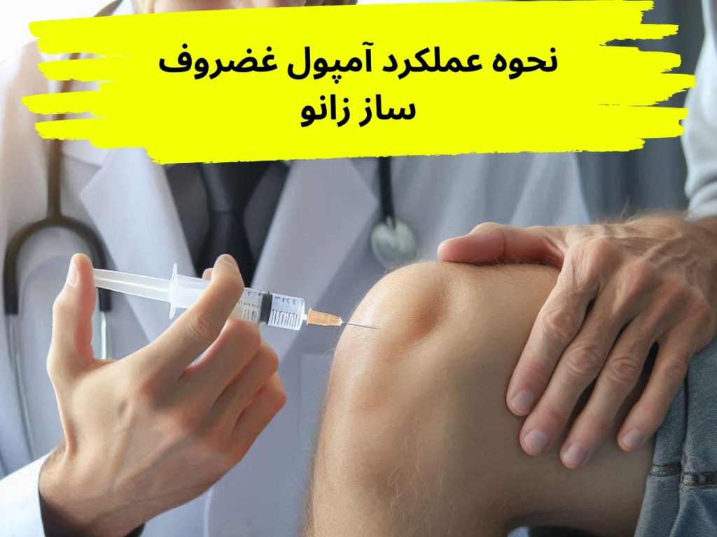 تحریک تولید غضروف نحوه عملکرد آمپول غضروف ساز زانو