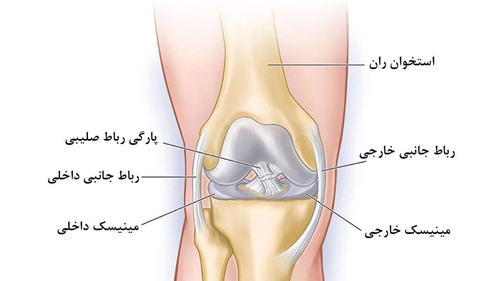 نشانه پارگی رباط داخلی زانو علائم پارگی رباط زانو