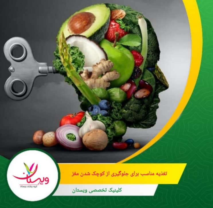 اسفناج و کلم؛ غنی از فولات، ویتامین K و آنتیاکسیدانهایی که به محافظت در برابر پیری مغز کمک میکنند. تغذیه مناسب برای جلوگیری از کوچک شدن مغز