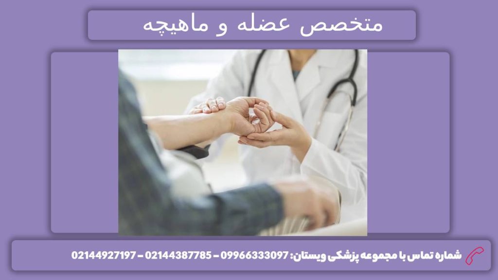 متخصص ماهیچه و عضله در تهران معرفی دکتر متخصص ماهیچه و عضله در تهران